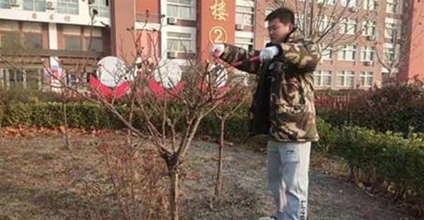 后勤动态 | 美化校园环境 营造平安校园
